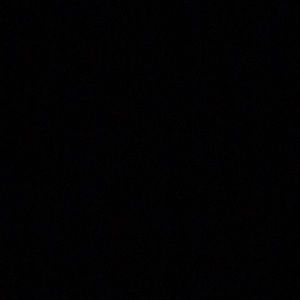 Meet your Posher, Amelia